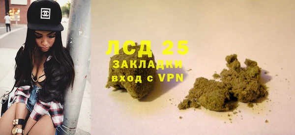 дживик Балахна