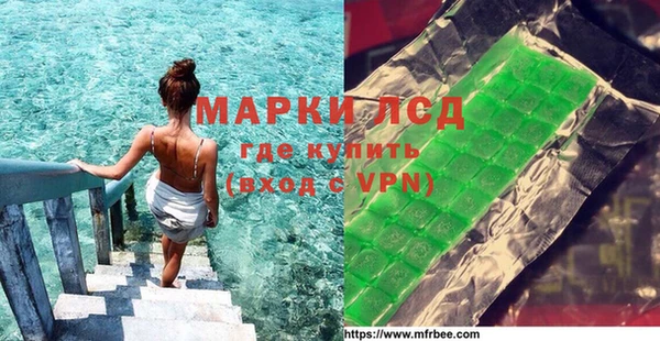 гидра Богданович
