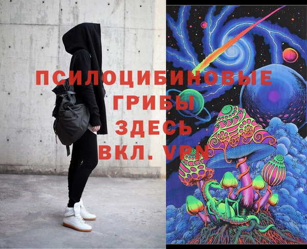 мяу мяу мука Армянск