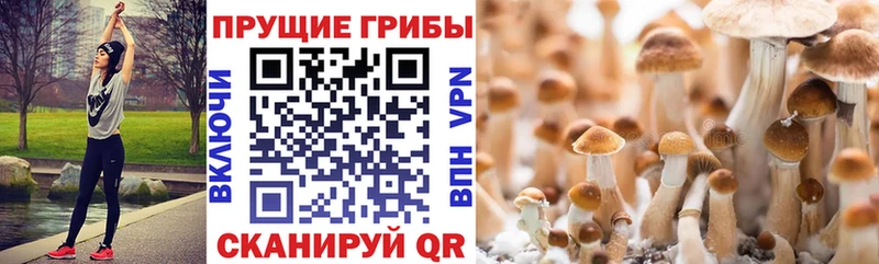 продажа наркотиков мега ТОР Галлюциногенные грибы мухоморы Усинск